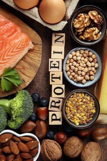 protein