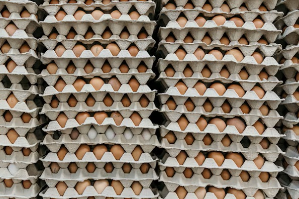 eggs